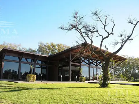 Azahares del Paraná