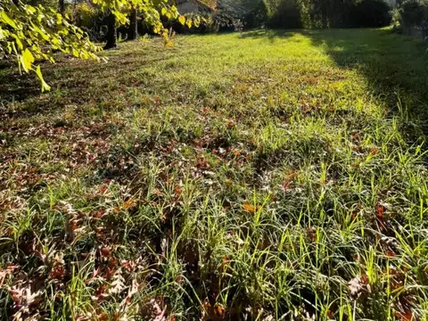 Amancio Alcorta 1100