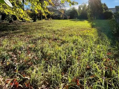 Terreno en Venta 40  mts Fondo