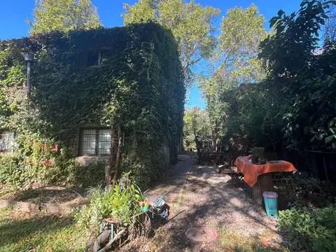 Francisco Ramírez 1000