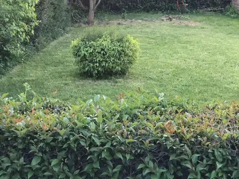 Terreno en Venta de 300,0 m2