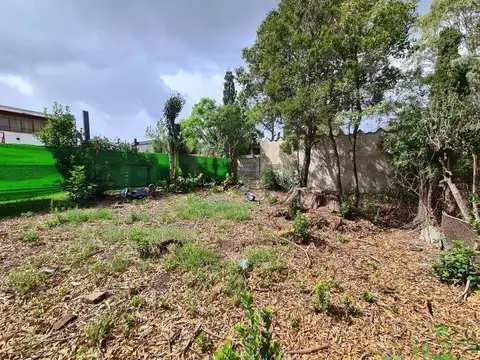 Lote en venta - 19 bis entre 484 y 485