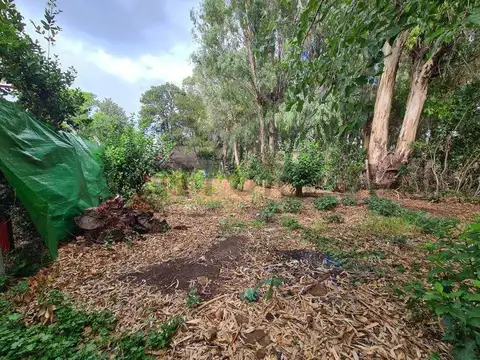 Terreno en Venta de 291,0 m2