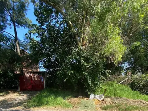 19 bis e/ 484 y 485 , Piso 0