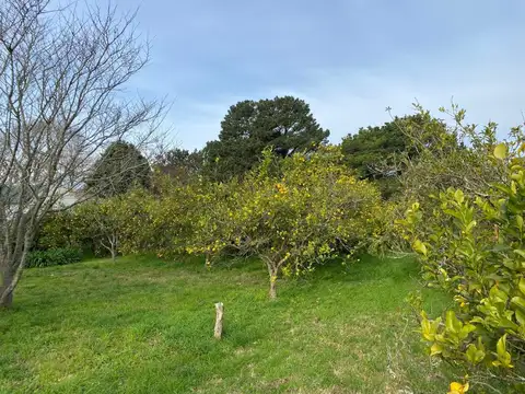 Campo en Barrio Batan