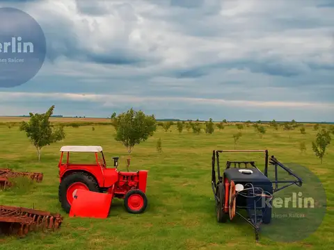 Campo en Venta en San Nicolas de los Arroyos, Partido de San Nicolás