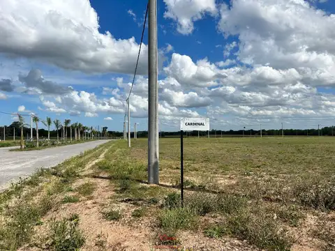 Venta · Lote 1500 m2  · El Lazo · Capilla del Señor