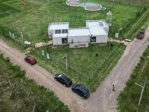 El Viejo Ombu