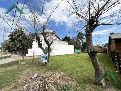 Terreno en Venta 10  mts Frente