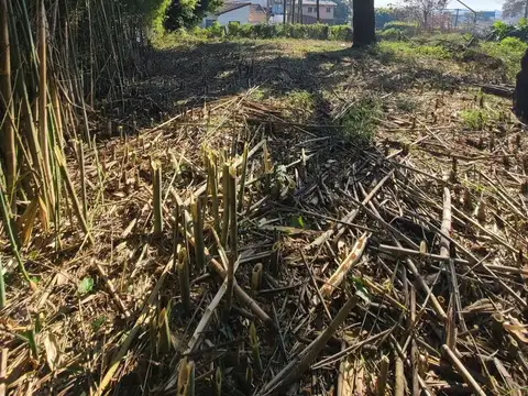 Terreno en Venta de 168,0 m2