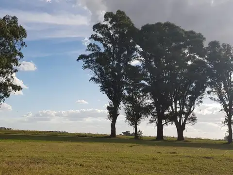 Terreno en Venta de 1600,0 m2