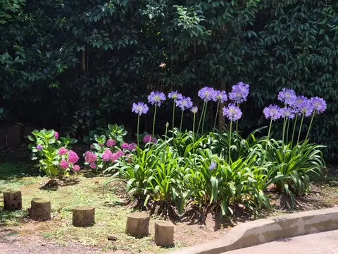 Departamento en Alquiler en Aston Village Residence, $ 500.000