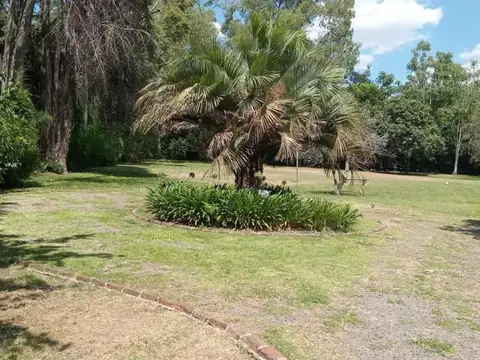 De Los Payadores 100