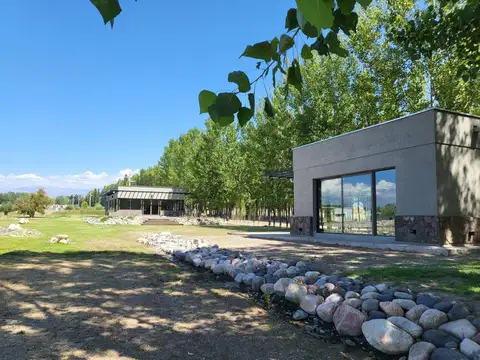 Terreno en Venta en San Jose de Tupungato, USD 34.000