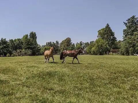 Terreno en Venta de 7775,0 m2