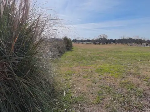 Medal Country Club Pilar