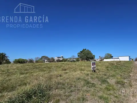 Alvear entre La Plaza y Berduc