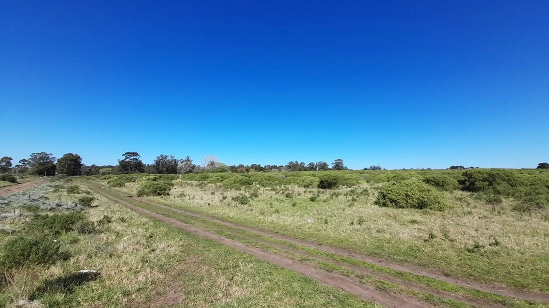 VENTA LOTE 45.000m2 ZONA SUR MAR DEL PLATA