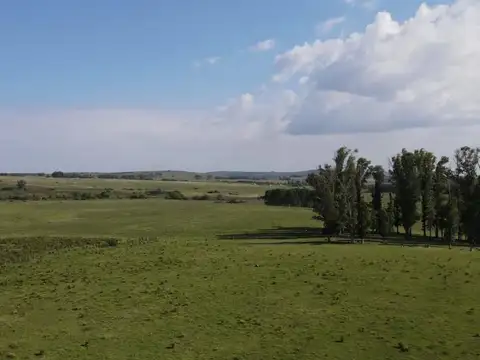 ruta 12 km 15 100