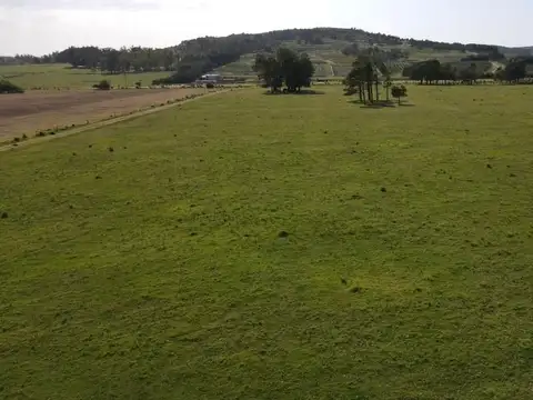 ruta 12 km 15 100