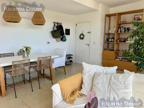 Condominio Civis, Tortugas