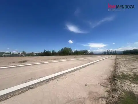 Terreno en Vistalba