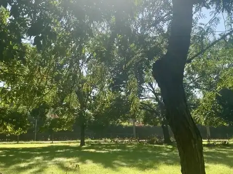 Terrenos y Lotes en Venta en Villa Elisa [Cod: 0020]