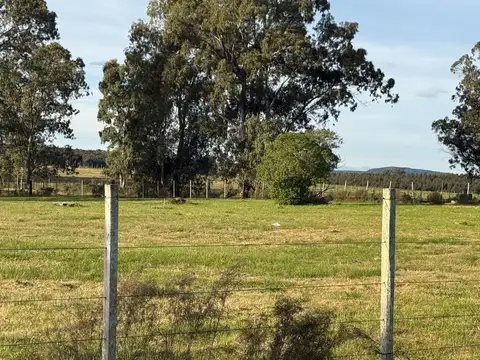 Terreno Venta de 7683 m2 sobre Ruta 8 Lavalleja 