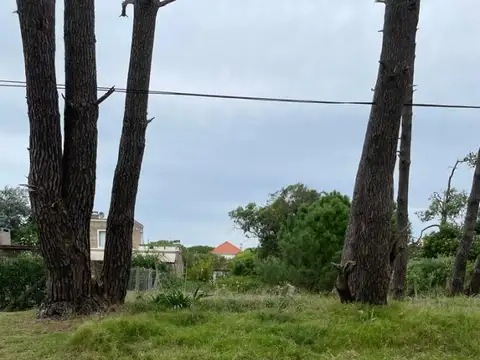 Terreno en Venta de 600,0 m2