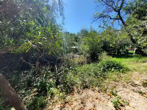 Terreno en  la Isla Libertad con 20 metros de costa propia.