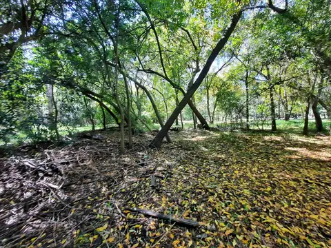 Terreno en Venta 105  mts Fondo