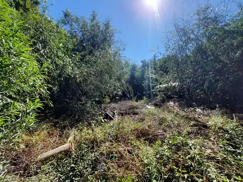 Isla Libertad lote con  costa propia.