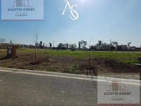 Av del parque al 123400