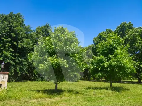 VENTA | LOTE EN LOS ÁLAMOS – ESTANCIA VILLA MARÍA