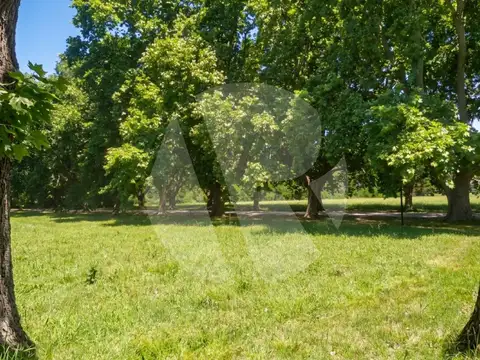 Terreno en Venta 39  mts Fondo