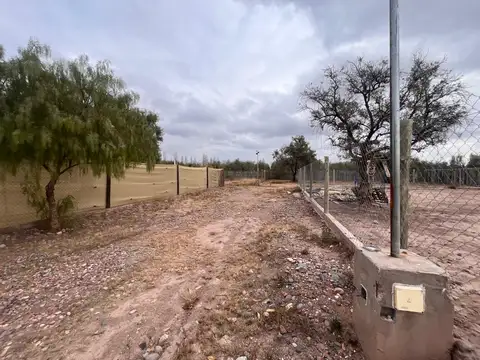 Videla Castillo al 2000