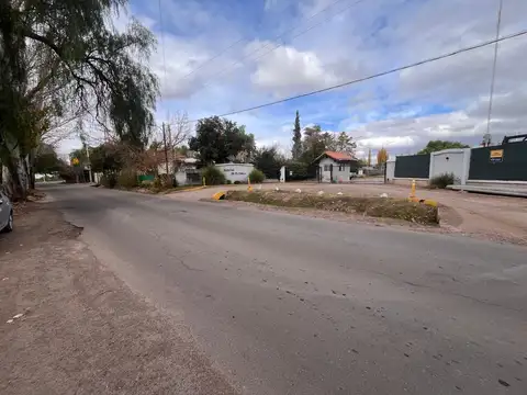 Videla Castillo al 2000