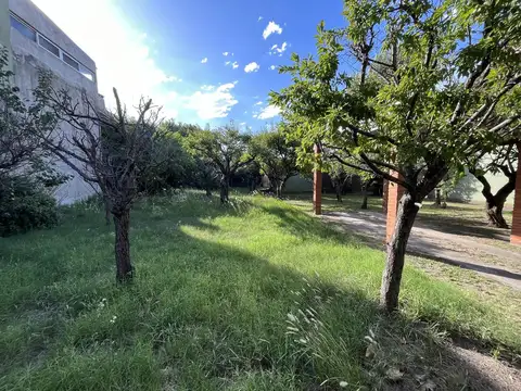 Terreno en Venta 31  mts Fondo