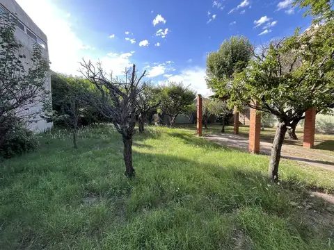 Terreno - Villa Dominico