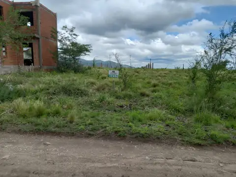 calixto de la torre 100