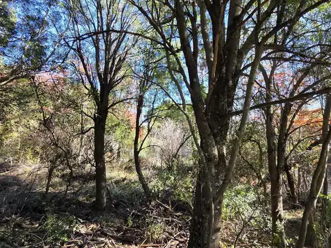 Terreno en Venta en San Carlos de Bariloche, Bariloche