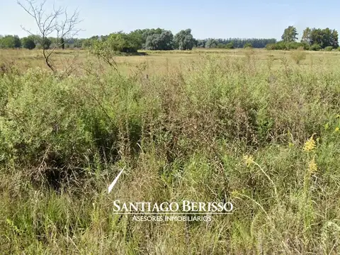 Campo en El Tatu