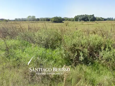 Campo en El Tatu