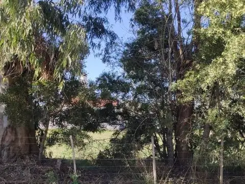 LOTES EN VENTA - BARRIO PARQUE SICARDI