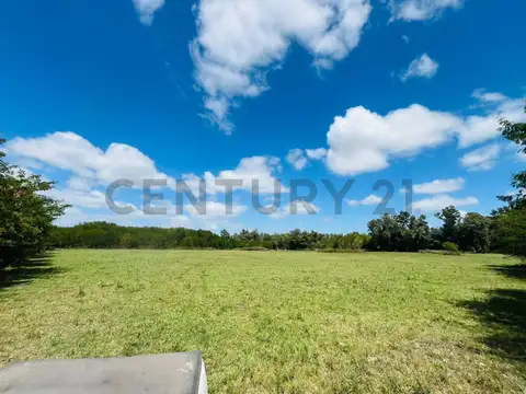 VENTA DE TERRENO SOBRE RUTA NACIONAL 3 Km 71,5