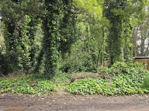 Terreno en Venta en Mar del Plata, USD 38.000
