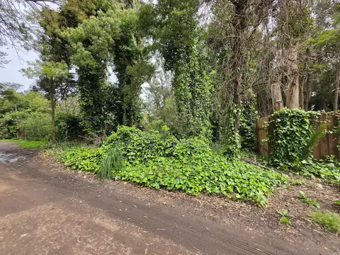 Terreno en Venta 32  mts Fondo