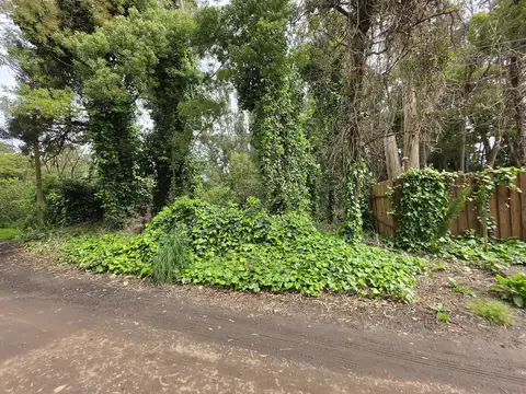 Terreno en Venta de 487,0 m2