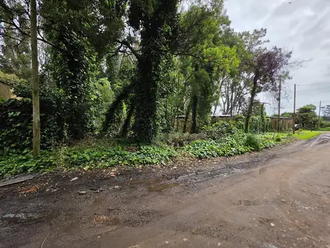 Terreno en Venta 15  mts Frente