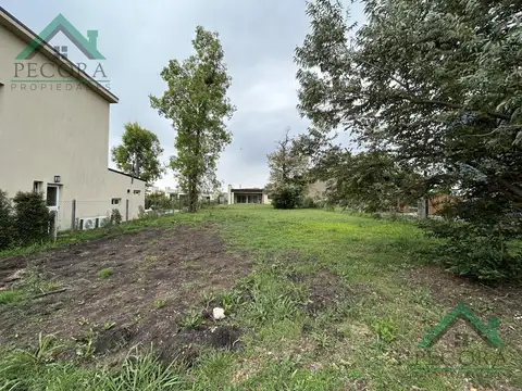 Terreno en Venta de 521,0 m2